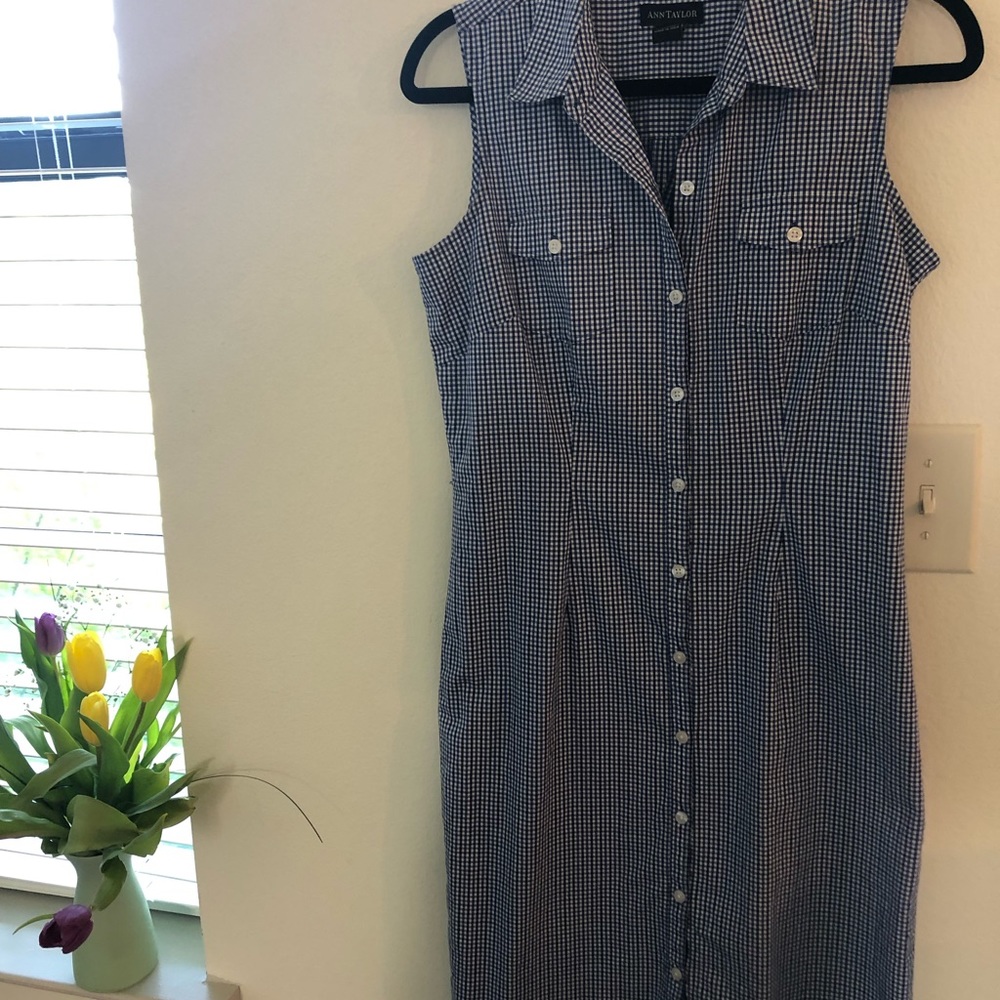 Ann Taylor gingham dress